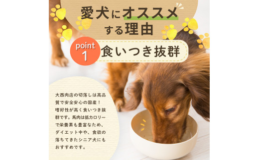 ペット用 わんちゃんごはん ペットフード 国産 馬肉使用 山梨県富士吉田市 ふるさと納税 ふるさとチョイス