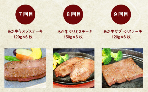 【定期便年12回】あか牛 ステーキ 極上 食べ比べ ステーキ 12種 和牛 牛肉