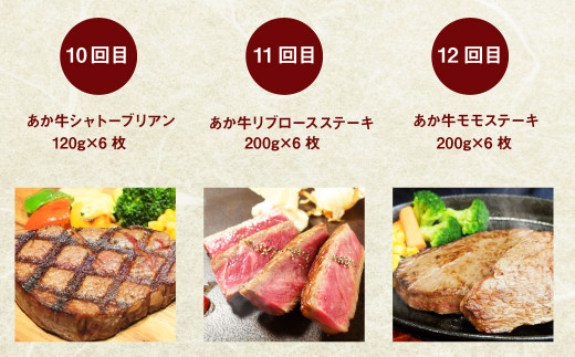 【定期便年12回】あか牛 ステーキ 極上 食べ比べ ステーキ 12種 和牛 牛肉