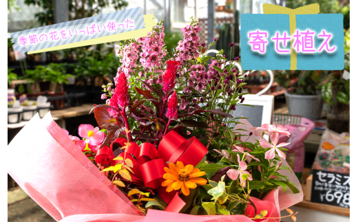 【価格改定予定】季節の花をいっぱい使った寄せ植え  277866 - 静岡県沼津市