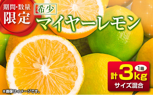 B159 21 フルーツ 期間 数量限定 希少 日南産マイヤーレモン 計3kg サイズ混合 宮崎県日南市 ふるさと納税 ふるさとチョイス