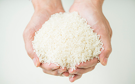 3年香川産アキサカリ白米18キロ減農薬冷蔵保管食品