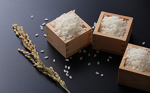 ※画像はイメージです。