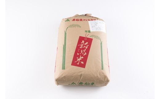 令和4年収穫 新潟県産コシヒカリ玄米30キロ
