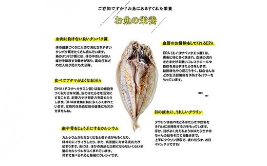 干物詰合せ Aセット 骨まで食べられる 焼き魚あじ開き M032 003 宮崎県宮崎市 ふるさと納税 ふるさとチョイス