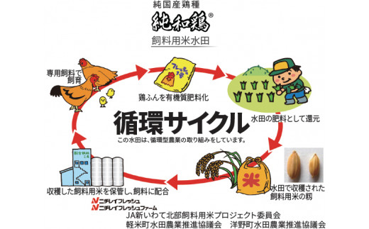 飼料米循環サイクル