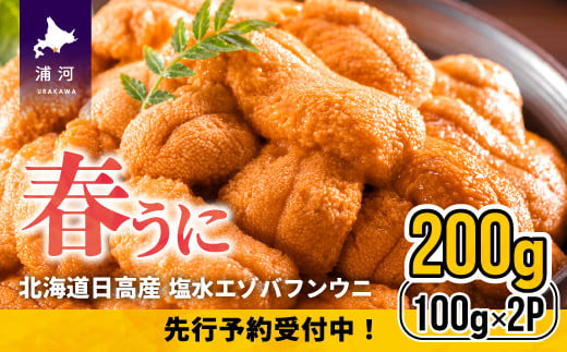 令和4年5月上旬頃より発送 塩水バフンウニ 北海道日高産 100g 2パック ご家庭用 02 2 北海道浦河町 ふるさと納税 ふるさとチョイス