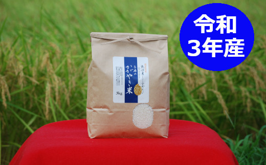 特別栽培米 魚沼産こしひかり3kg「冬井のかがやき米」