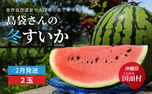 島袋さんの冬スイカ 4 5kg 2玉 22年2月発送 沖縄県国頭村 ふるさと納税 ふるさとチョイス