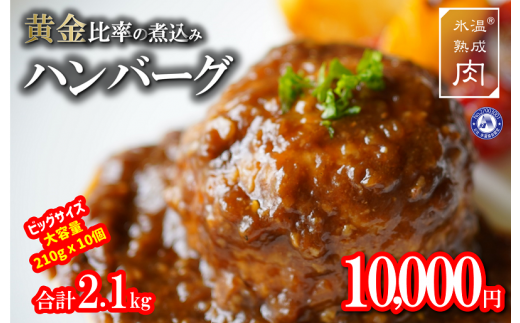 010B740 氷温(R)熟成肉 黄金比率煮込みハンバーグ 210g×10個(合計2.1kg)
