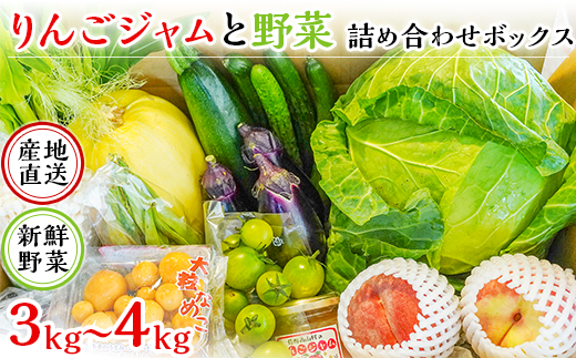 J0658 産地直送新鮮野菜 りんごジャム 長野県産野菜と果物詰め合わせボックス3kg 4kg 長野県長野市 ふるさと納税 ふるさとチョイス