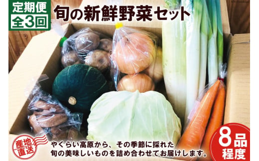 3回 定期便】産地直送！旬の新鮮野菜セット（8品程度） [やくらい土産