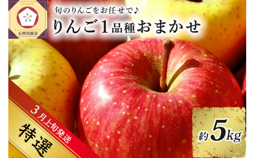 【2025年3月上旬発送】 【特選】 旬の美味しい りんご 約5kg 青森産 【おまかせ1品種】 1064426 - 青森県五所川原市