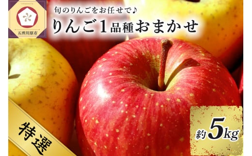 [選べる配送時期] [特選] 旬の美味しい りんご 約5kg 青森産 [おまかせ1品種]