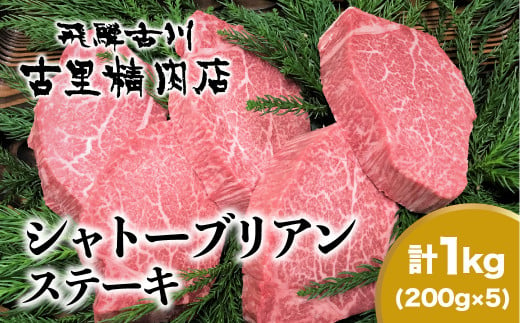 飛騨牛5等級のヒレ肉・シャトーブリアンステーキ 200g × 5枚 合計1kg