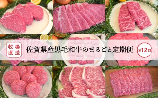 [定期便セット]全12回 佐賀県産和牛 牧場直送バラエティー定期便 TOMMY BEEF