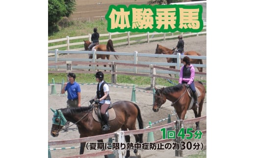 体験乗馬 メンバー体験コース 225155 - 埼玉県三芳町