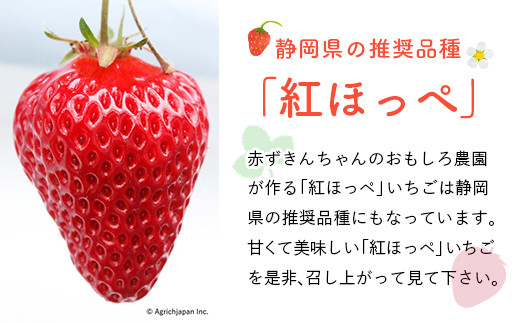 １１８４ 掛川産いちご 紅ほっぺ 約300g ６パック計1 ８ｋｇ 令和４年３月中旬頃からの発送 赤ずきんちゃんのおもしろ農園 静岡 イチゴ 苺 いちご 静岡県掛川市 ふるさと納税 ふるさとチョイス