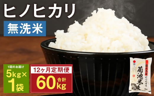 【定期便12ヶ月】熊本県菊池産 ヒノヒカリ 無洗米 計60kg（5kg×12回）精米 お米 米 白米 989858 - 熊本県菊池市