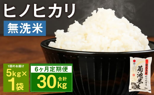 【定期便6ヶ月】熊本県菊池産 ヒノヒカリ 無洗米 計30kg（5kg×6回）精米 お米 米 白米 989857 - 熊本県菊池市