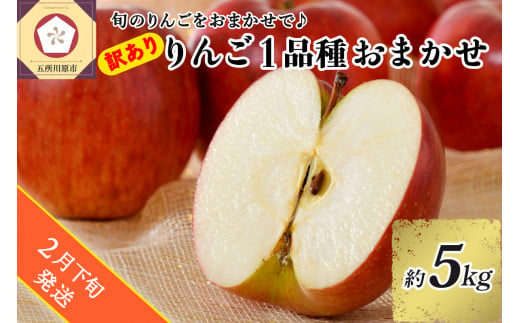 【2025年2月下旬発送】 【訳あり】 旬の美味しい りんご 約5kg 青森産 【おまかせ1品種】 1064451 - 青森県五所川原市