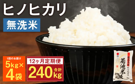 【定期便12ヶ月】熊本県菊池産 ヒノヒカリ 無洗米 計240kg（5kg×4袋×12回）精米 お米 白米
