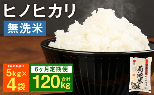 【定期便6ヶ月】熊本県菊池産 ヒノヒカリ 無洗米 計120kg（5kg×4袋×6回）精米 お米 白米