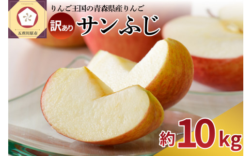 【選べる配送時期】 【訳あり】 りんご 約10kg サンふじ 青森産