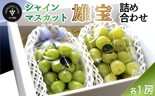 マスカット詰め合わせ シャインマスカット 雄宝 ゆうほう 21年9月下旬 発送開始 愛媛県西条市 ふるさと納税 ふるさとチョイス