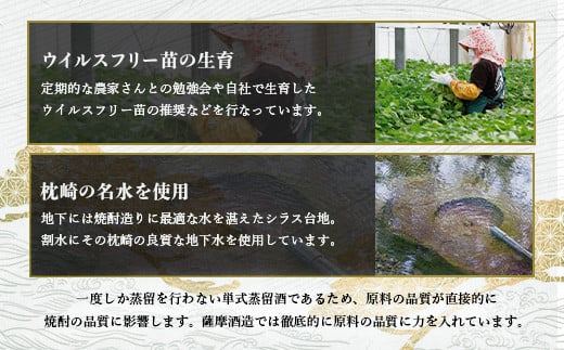画像はイメージです