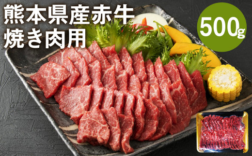 熊本県産赤牛 焼肉用 500g 国産 和牛 牛肉 バラ モモ ウデ いずれか1種 990281 - 熊本県菊池市