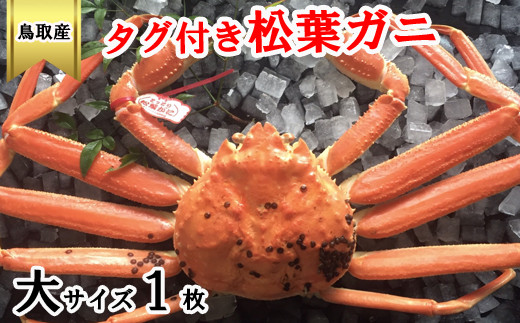 EY93：鳥取県産タグ付き松葉ガニ（大）冷蔵