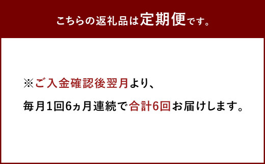 【定期便6回】熊本県産赤牛 ロースステーキ 500g(2枚)×6回 計3kg