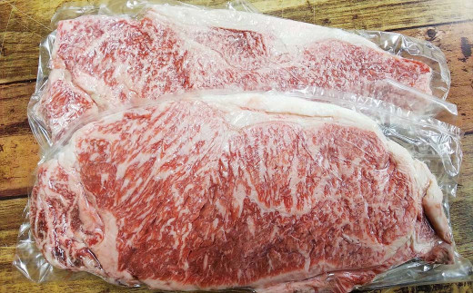 【定期便6回】熊本県産赤牛 ロースステーキ 500g(2枚)×6回 計3kg