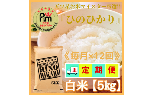 CI351 　【１２回定期便】西日本で人気のお米！ヒノヒカリ白米５ｋｇ【五つ星お米マイスター厳選！】