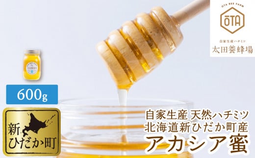 北海道産 天然 純粋 はちみつ アカシア 600g 国産 自家製 蜂蜜 ハチミツ