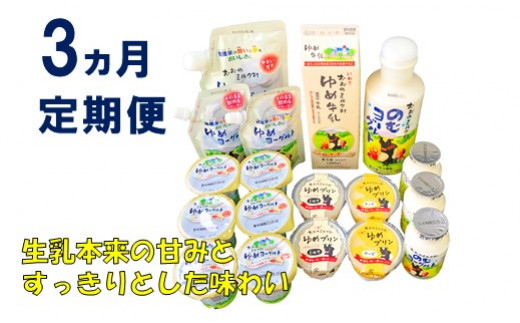 【3ヵ月定期便】おおのミルク村 乳製品セット×3回