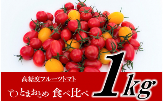 香る鹿沼そば（半なまそば） そば 蕎麦 調味料 自家製 [№5840-1240