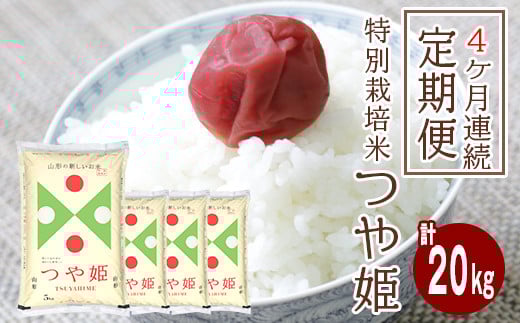 SE0099　【4回定期便】特別栽培米つや姫　5kg×4回(計20kg)　農産物検査員おすすめの庄内米 SY