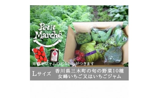 928 プチマルシェお野菜ボックス(Ｌ) 季節の野菜10種＆女峰苺又は