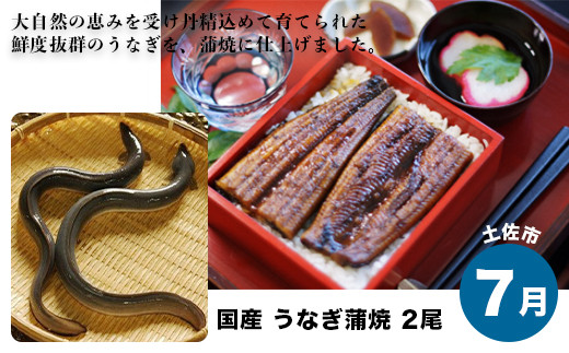 【7月お届け】土佐市・国産うなぎの蒲焼