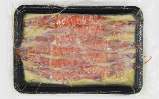 車海老の味噌漬【ニンニク】（中～大サイズ）計500g（250g×2）海老 えび 味噌漬け にんにく味
