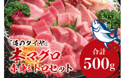 本マグロ（養殖）トロ＆赤身セット 500g 【通常発送】 高級 クロマグロ  中トロ 中とろ まぐろ マグロ 鮪 刺身 赤身 柵 じゃばらまぐろ 本マグロ 本鮪 764008 - 和歌山県古座川町