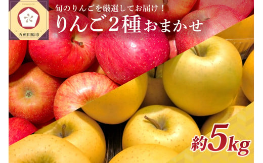 [選べる配送時期] りんご 青森産 約5kg 品種おまかせ2種以上 贈答用 特選〜特秀