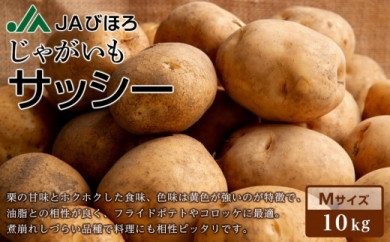 訳あり 北海道JAびほろ じゃがいも「サッシー」Mサイズ10kg