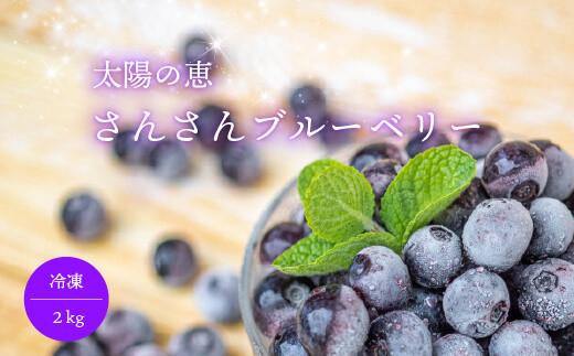 ブルーベリー 2kg 冷凍 健康 食品 500g × 4袋 高知県 須崎市 330024 - 高知県須崎市