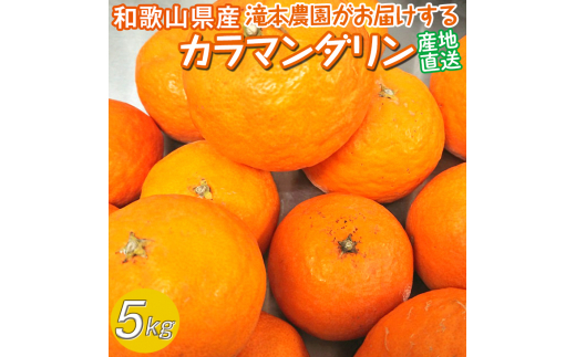 滝本農園がお届けする産地直送!!カラマンダリン 約5kg ≪フルーツ 果物 みかん 蜜柑 ミカン 和歌山 オレンジ≫※2022年5月上旬頃~下旬頃に順次発送 652611 - 和歌山県広川町