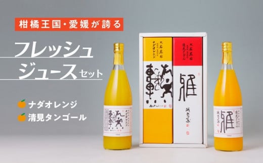 愛媛県産 果汁100％みかんジュース2本入りセット（清見・ナダオレンジ）みかん 柑橘 ギフト 279046 - 愛媛県伊方町