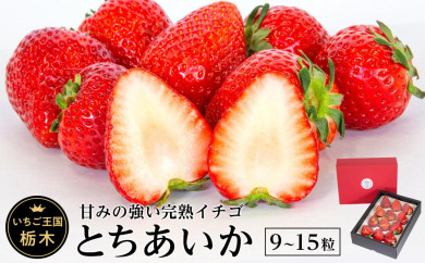 いちご王国とちぎの新品種!完熟「とちあいか」1パック〈先行予約 11月中旬以降お届け〉