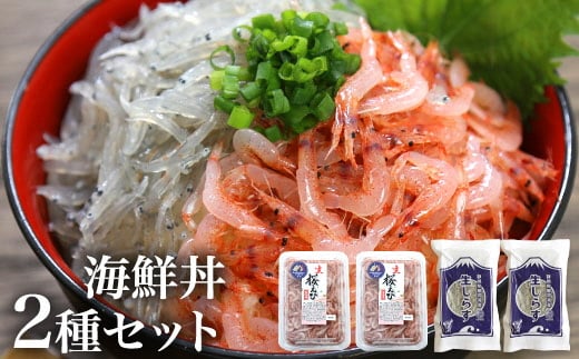 A15 478 生桜エビと生シラスのセット 静岡県焼津市 ふるさと納税 ふるさとチョイス